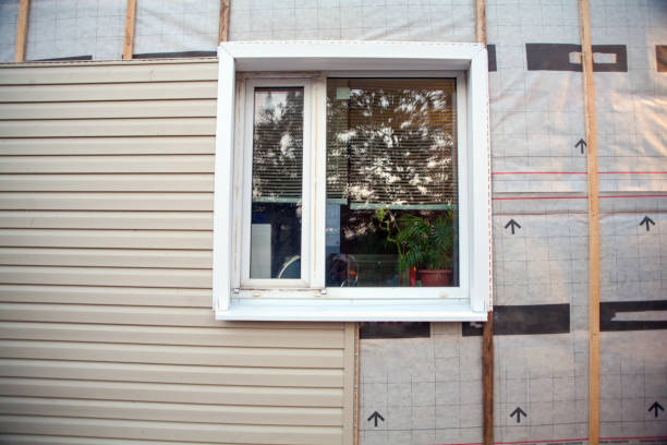 Best Residential Vinyl Siding Installation  in Nashotah, WI