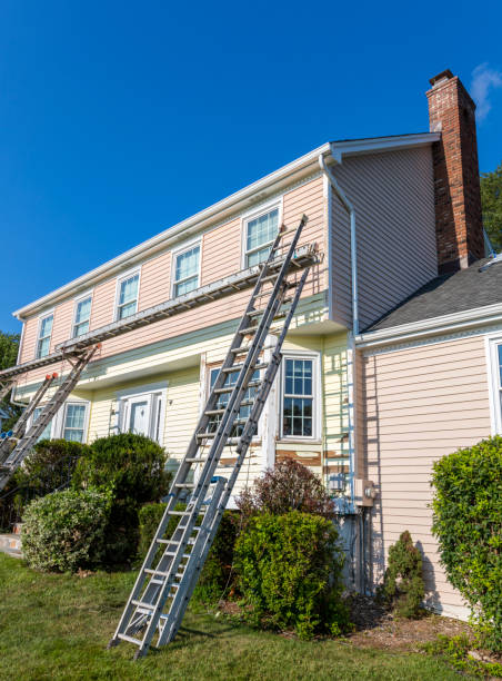 Best Siding Replacement  in Nashotah, WI