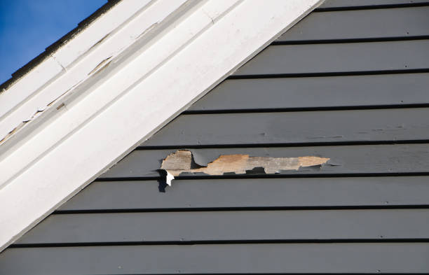 Best Siding for New Construction  in Nashotah, WI