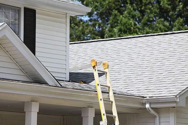 Best Insulated Siding Installation  in Nashotah, WI